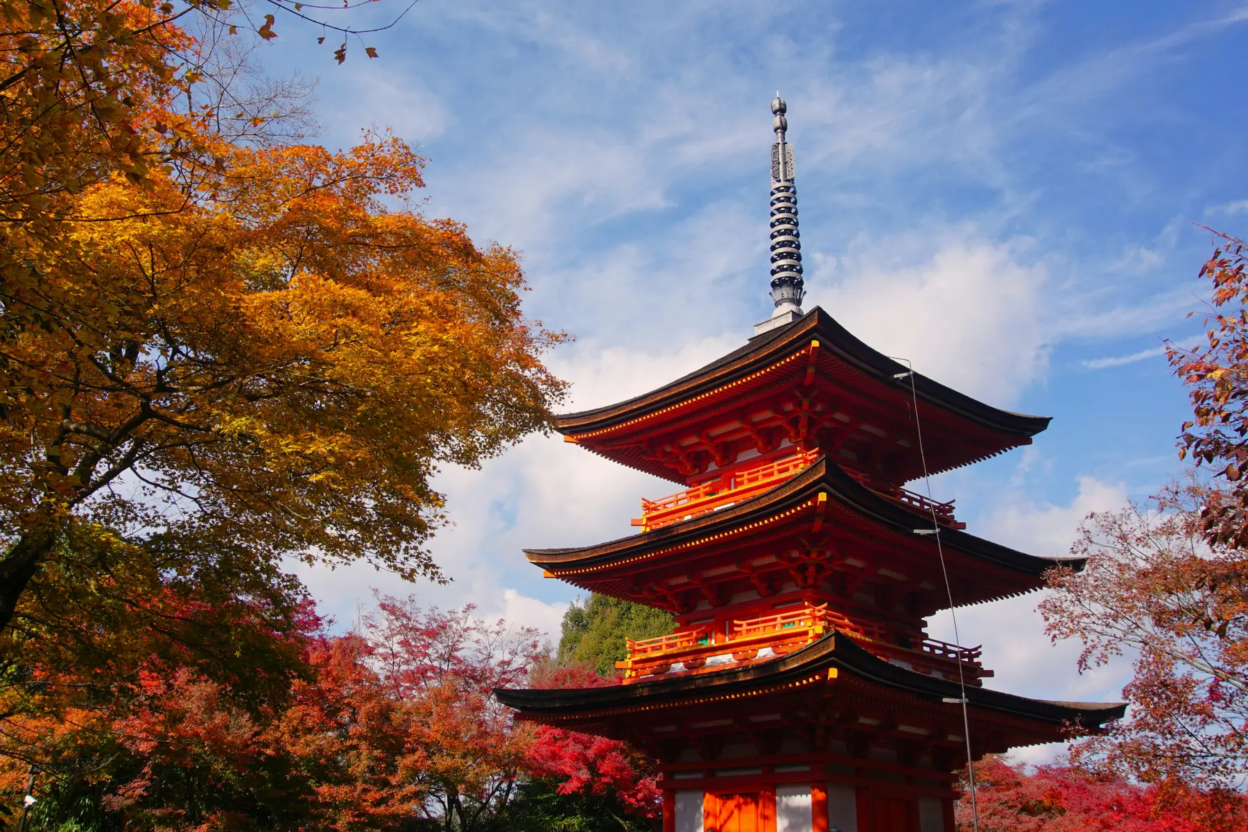 Autumn foliage and a temple pagoda in Kansai, Japan